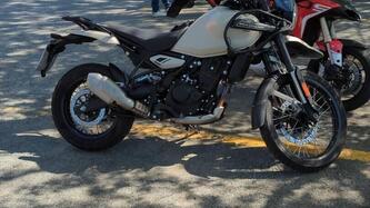 Royal Enfield Himalayan 450 (2024 - 25) usata