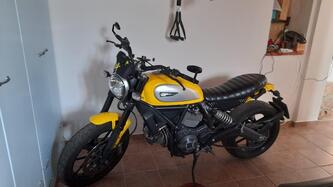 Ducati Scrambler 800 Icon (2015 - 16) usata