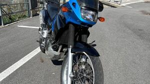 Kawasaki KLE 500 (2001 - 04) 