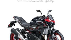Kawasaki Z 500 SE (2024 - 25) 