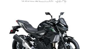 Kawasaki Z 500 (2024 - 25) 