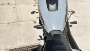 Harley-Davidson Sportster S (2022 - 24) 