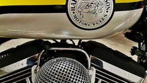 Harley-Davidson 1200 Custom (2004 - 06) - XL 1200C 