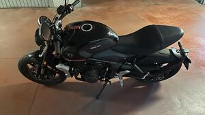 Triumph Trident 660 (2021 - 24) 