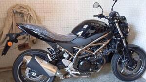 Suzuki SV650 (2021 - 24) 