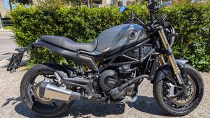 Benelli Leoncino 800 (2022 - 25) 