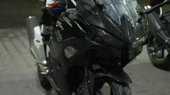 Kawasaki Ninja 500 (2024 - 25)