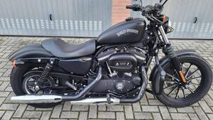 Harley-Davidson 883 Iron (2014 - 16) - XL 883N 