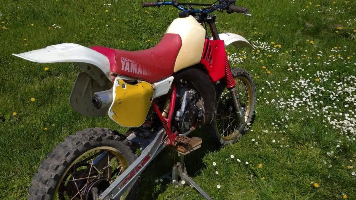 Yamaha   (2)