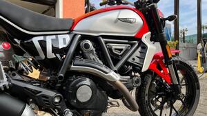 Ducati Scrambler 800 Icon (2023 - 25) 