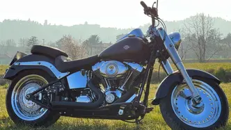 Harley-Davidson 1584 Fat Boy (2008 - 10) - FLSTF usata