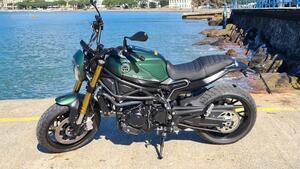 Benelli Leoncino 800 (2022 - 25) 