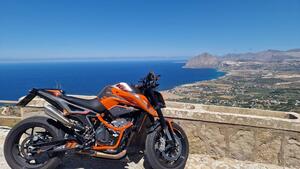 KTM 790 Duke (2018 - 20) 