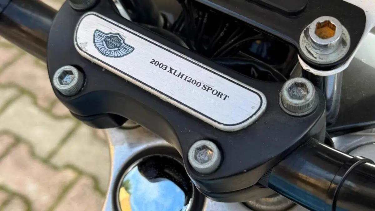 Harley-Davidson 1200 Sport (2001 - 03) - XL 1200S  (5)