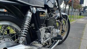 Norton  