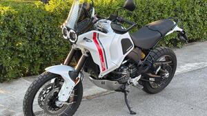 Ducati DesertX (2022 - 25) 