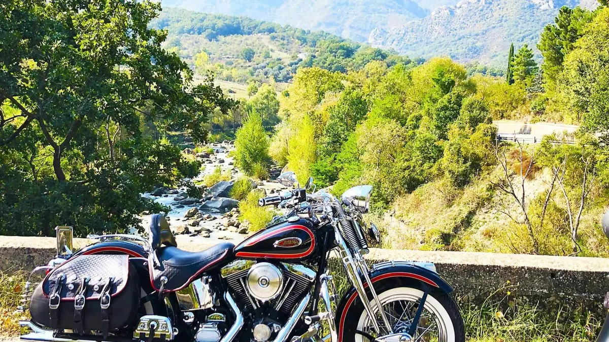 Harley-Davidson 1340 Heritage Springer (1997 - 99) - FLSTS  (5)