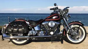 Harley-Davidson 1340 Heritage Springer (1997 - 99) - FLSTS  (7)