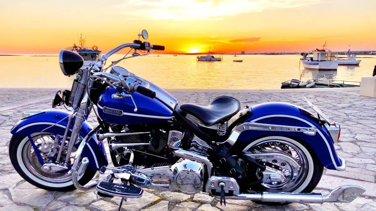 Harley-Davidson 1340 Heritage Springer (1997 - 99) - FLSTS  (8)