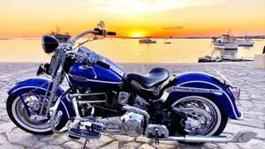 Harley-Davidson 1340 Heritage Springer (1997 - 99) - FLSTS  (8)