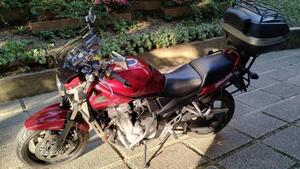Suzuki GSF 1250 Bandit (2006 - 11) 