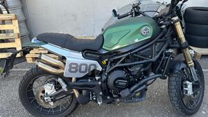 Benelli Leoncino 800 Trail (2022 - 25) 