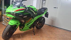 Kawasaki Ninja 500 SE (2024 - 25) 