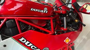 Ducati  