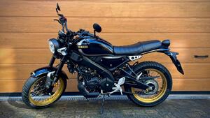 Yamaha XSR 125 Legacy (2022 - 24) 