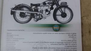 Benelli  