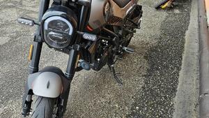 Benelli Leoncino 125 (2022 - 25) 