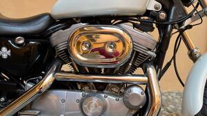 Harley-Davidson 883 Custom (2001 - 05) - XL 53C 