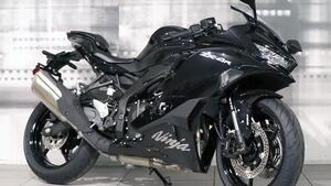 Kawasaki Ninja ZX-4R (2024 - 25) 