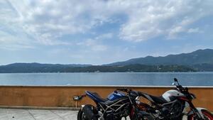 Suzuki SV650 (2021 - 24) 