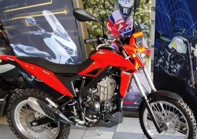 Betamotor Alp 4.0 (2024 - 26) - Annuncio 9693524
