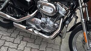 Harley-Davidson 883 Low (2008 - 12) - XL 883L 