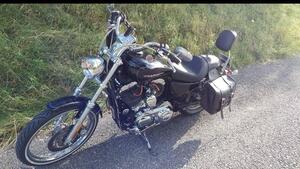 Harley-Davidson 1200 Custom (2004 - 06) - XL 1200C 