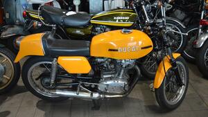 Ducati  