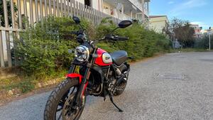 Ducati Scrambler 800 Icon (2021 - 22) 