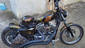 Harley-Davidson  