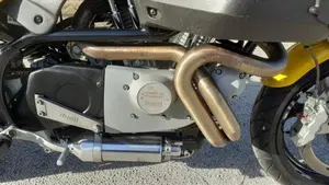 Buell   (2)
