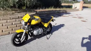 Buell   (4)