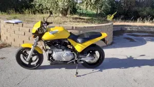 Buell   (7)