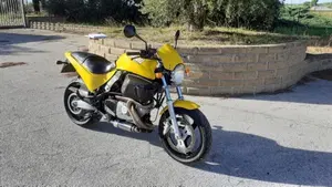 Buell   (8)