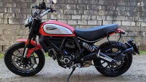 Ducati Scrambler 800 Icon (2017 - 20) 