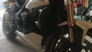 Triumph Speed Triple 1050 (2011 - 13) 