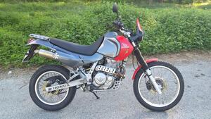 Honda NX 650 Dominator (1996 - 02) 