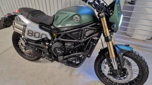 Benelli Leoncino 800 Trail (2022 - 25) 
