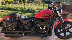 Harley-Davidson Street Bob 114 (2021 - 24) 