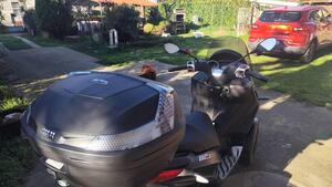 Piaggio Mp3 300 Hpe Sport (2019 - 20) 